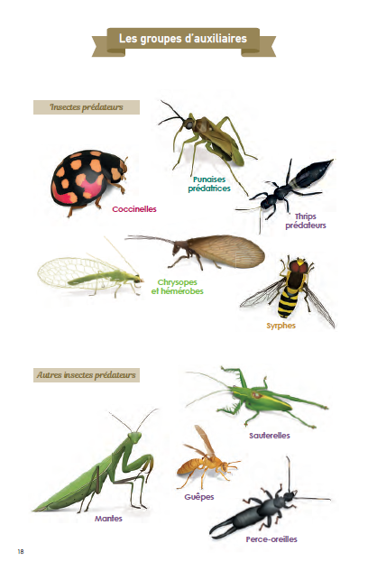 Les amis de nos jardins