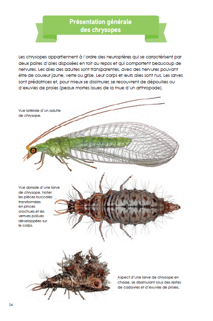 Les amis de nos jardins