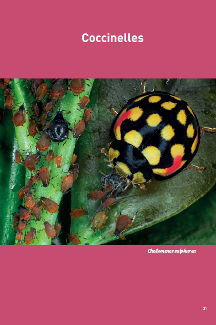 Les amis de nos jardins