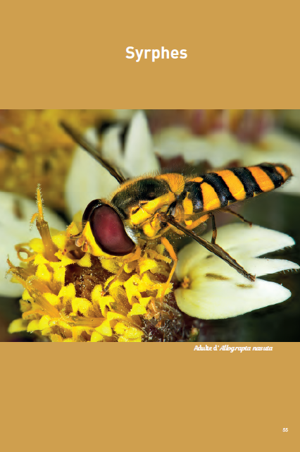 Les amis de nos jardins