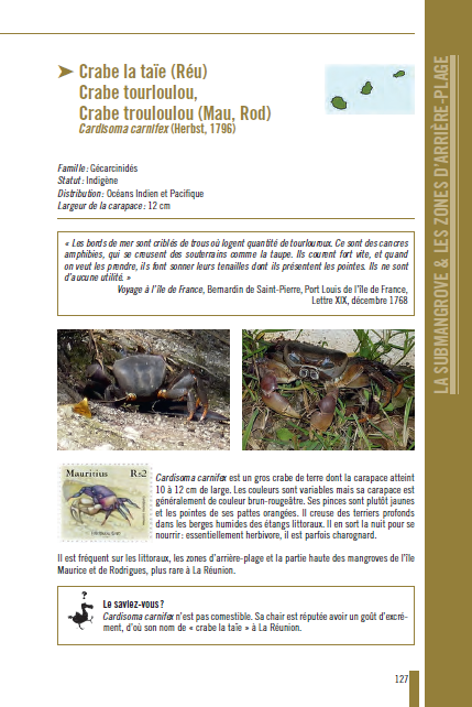 La Flore et la Faune originelles des Mascareignes