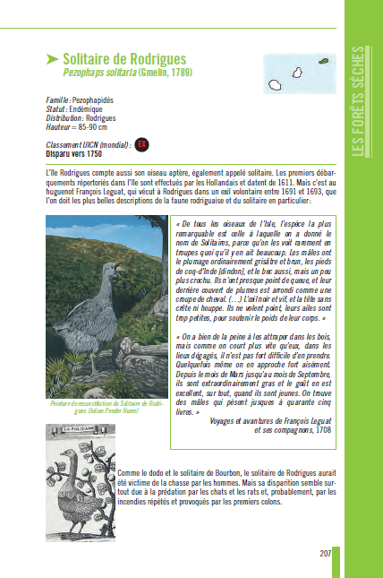 La Flore et la Faune originelles des Mascareignes