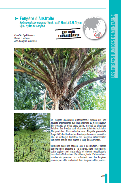 La Flore et la Faune originelles des Mascareignes