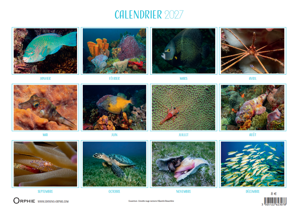 Calendrier 2027 - Sous les mers tropicales