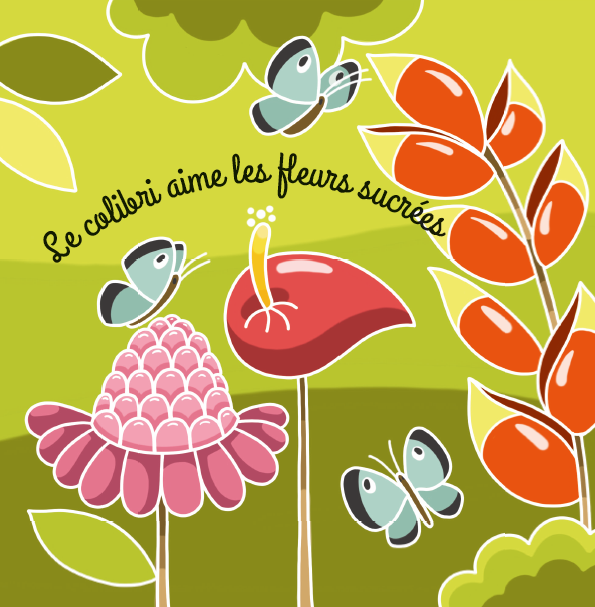 Mon premier livre à toucher des Antilles