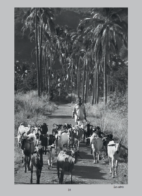 La Réunion Lontan - Entre Cirques et Pitons