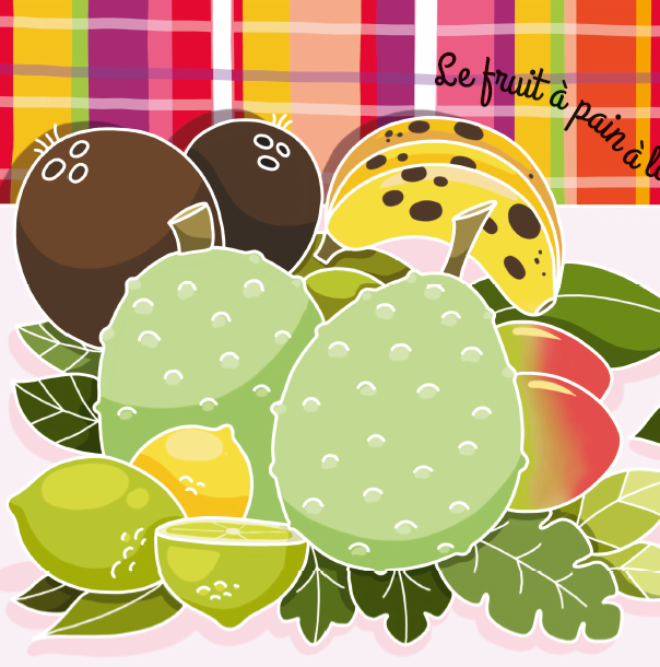 Mon premier livre à toucher des Antilles