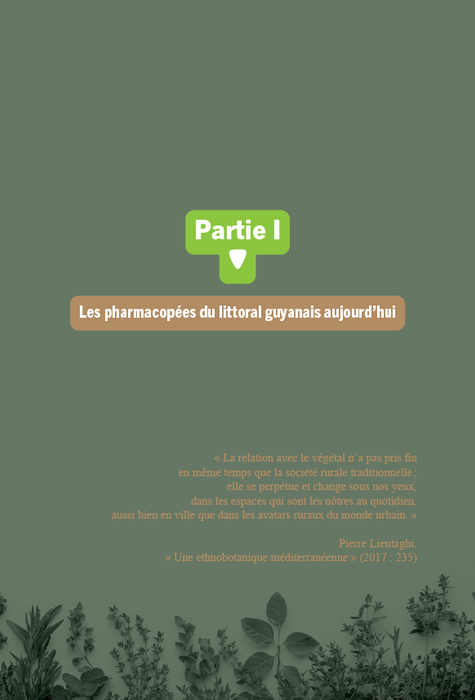 Pharmacopées métissées en Guyane