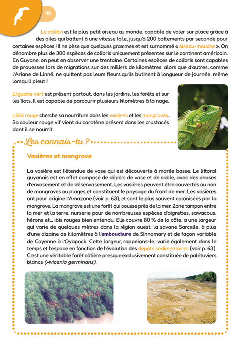 Encyclopédie junior de la Guyane