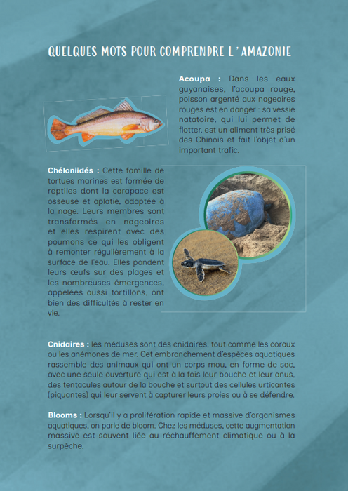 Umari - Lutte pour les tortues