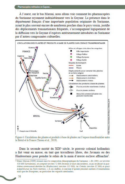 Pharmacopées métissées en Guyane