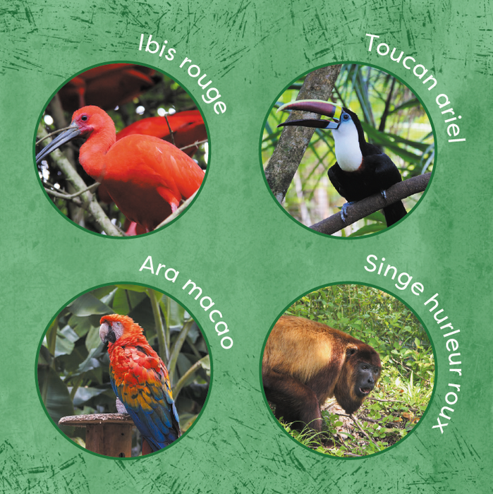 Les aventures d'Ethan et Inaya au Zoo-Refuge de Guyane